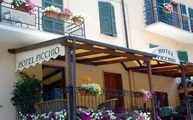 Hotel Picchio